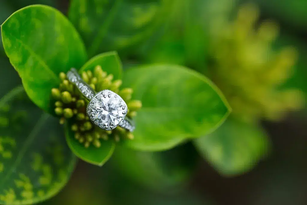 Diamond engagement ring on top of cluster yellow flowers buds in garden