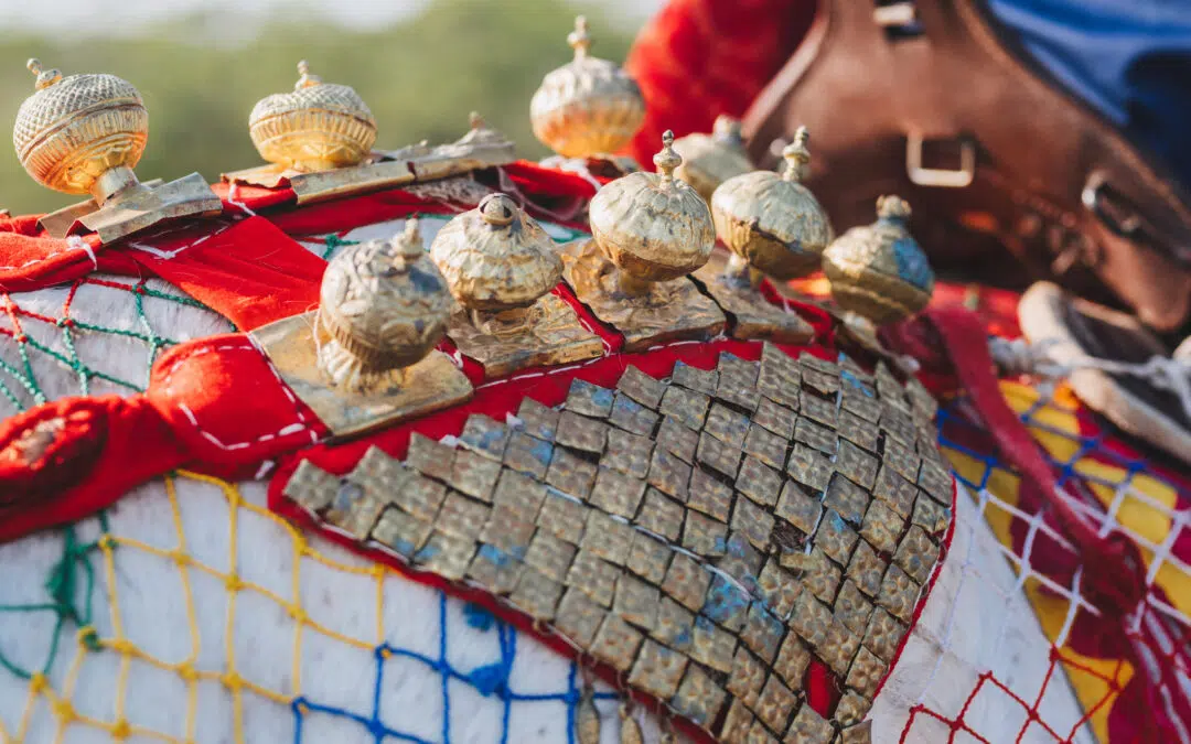 13 Indian Wedding Traditions You MUST Include In Your Wedding