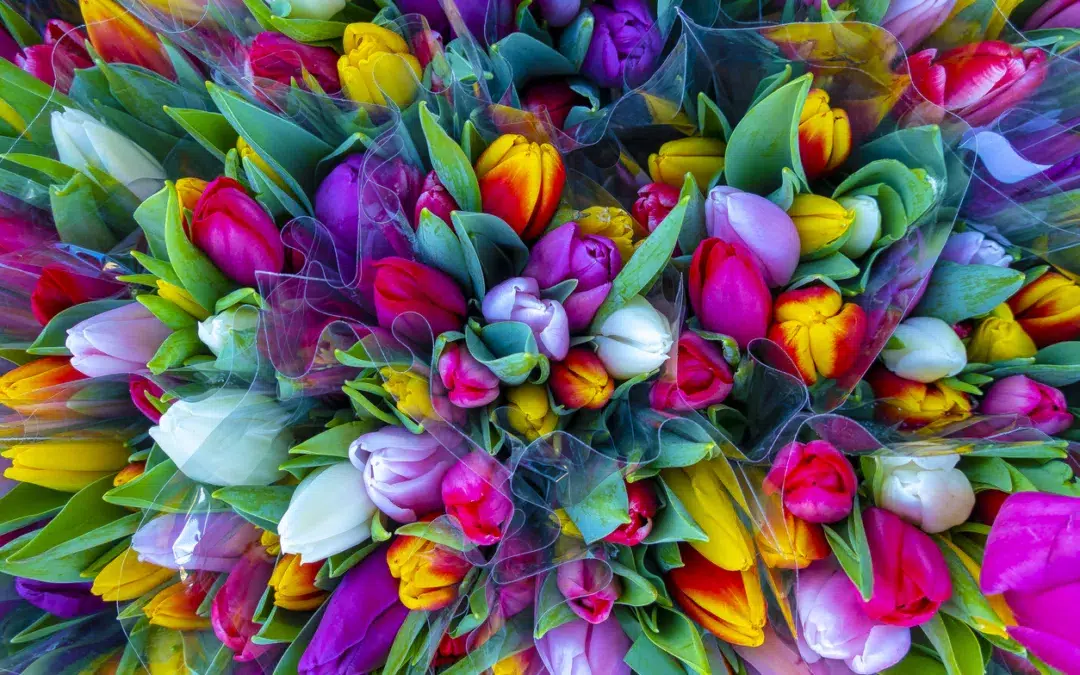 Top 10 Spring Wedding Color Schemes For 2024